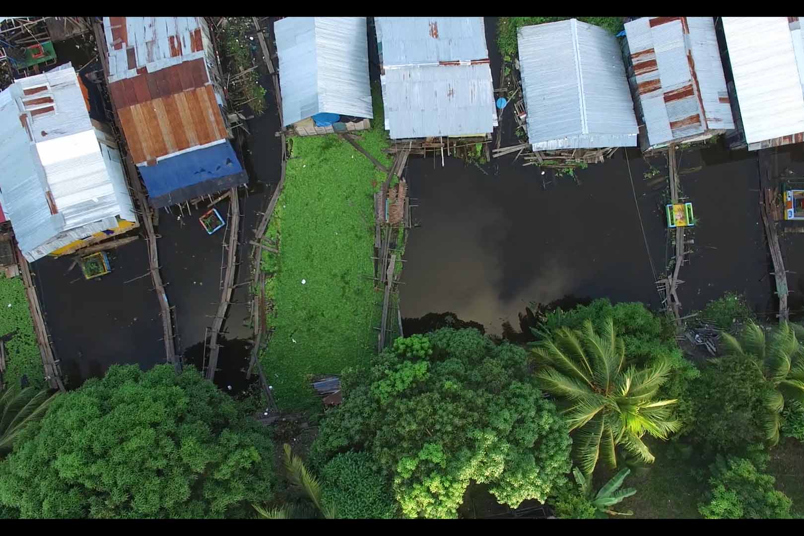 Overhead view of an amphibious community